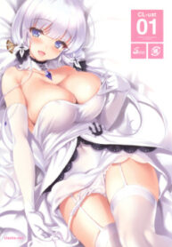 cover_250x350