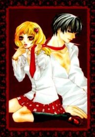 cover_250x350 (99)